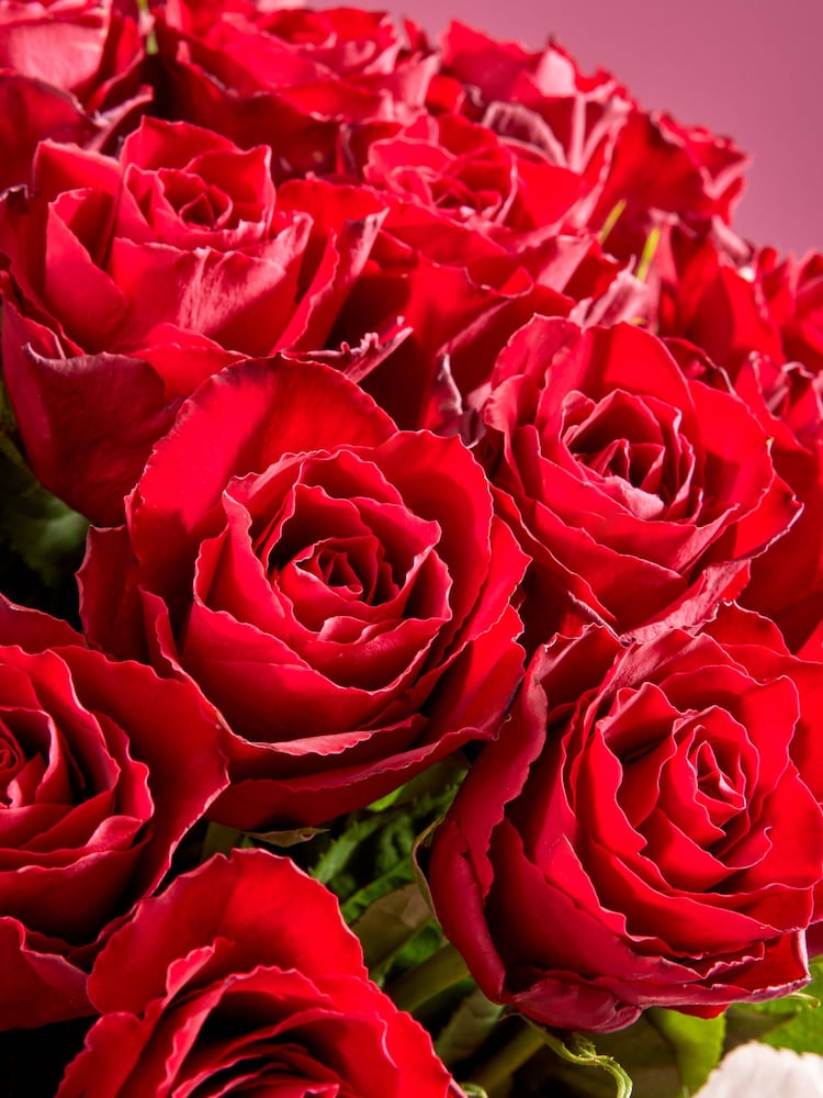 Red Two Dozen Roses Fresh Flower Bouquet - Image 2 of 4