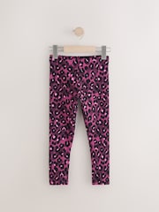 Animal - Pack de 5 leggings (3-16 años) - Imagen 6 de 9