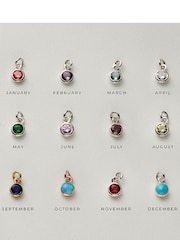 Personalised Initial Letter & Birthstone Charm Bracelet by Posh Totty Designs - Image 3 of 4