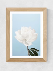 East End Prints Oak White Peony I Framed Art Print - Image 1 of 3