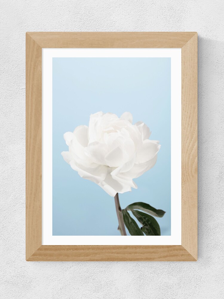 East End Prints Oak White Peony I Framed Art Print - Image 1 of 3 East End Prints Oak White Peony I Framed Art Print - Image 1 of 3