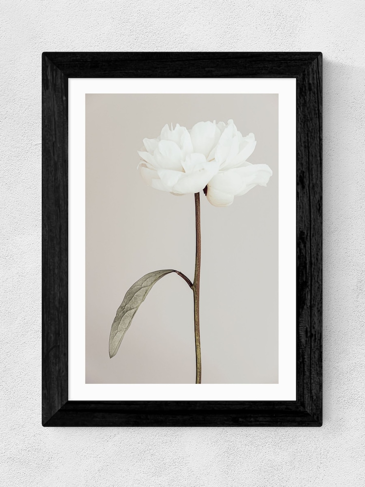 East End Prints Black Peony II Framed Art Print - Image 1 of 3