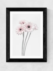 East End Prints Black Gerbera Daisy Framed Art Print - Image 1 of 3