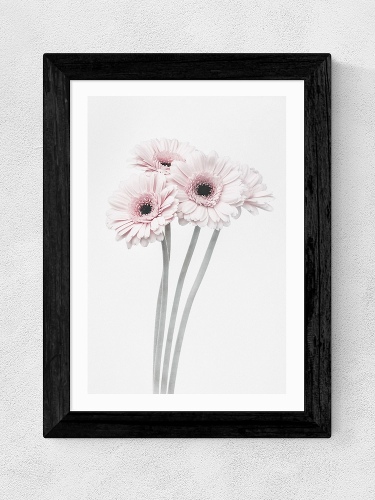 East End Prints Black Gerbera Daisy Framed Art Print - Image 1 of 3