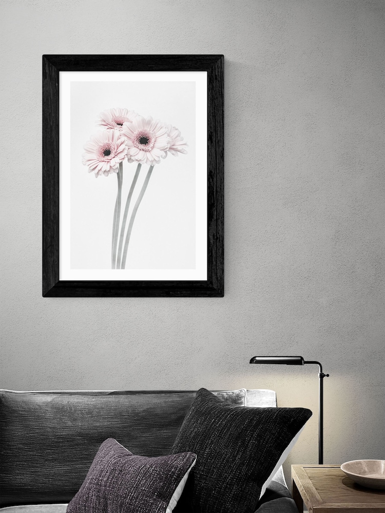 East End Prints Black Gerbera Daisy Framed Art Print - Image 2 of 3
