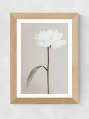 East End Prints Oak Peony II Framed Art Print - Image 1 of 3