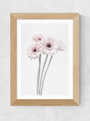 East End Prints Oak Gerbera Daisy Framed Art Print - Image 1 of 3