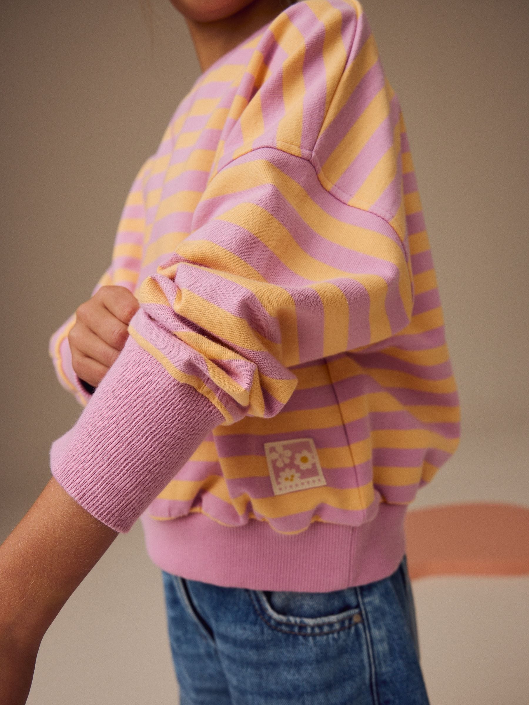 Buy Pink/Orange Stripe 100% Cotton Sweatshirt (3-16yrs) from Next