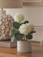 White Artificial Vibernum Plant In Ceramic Country Pot - Image 1 of 5