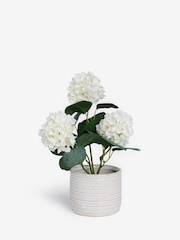 White Artificial Vibernum Plant In Ceramic Country Pot - Image 3 of 5