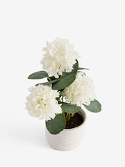 White Artificial Vibernum Plant In Ceramic Country Pot - Image 4 of 5