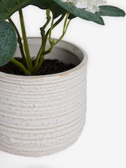 White Artificial Vibernum Plant In Ceramic Country Pot - Image 5 of 5