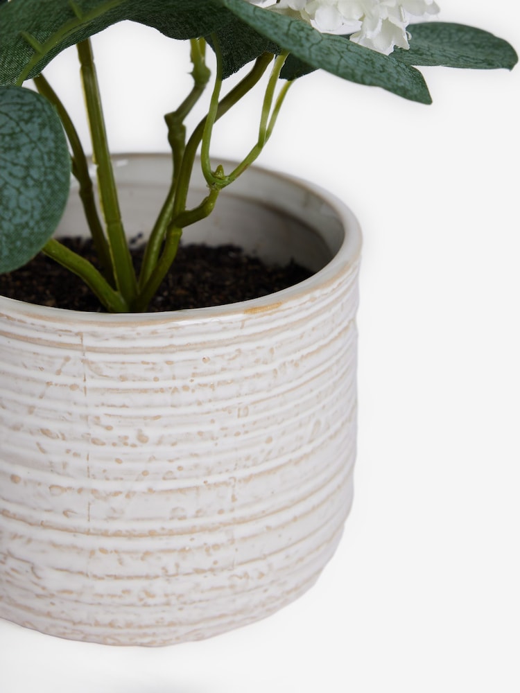 White Artificial Vibernum Plant In Ceramic Country Pot - Image 5 of 5