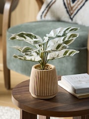 Green/White Artificial Variagated Plant In Striped Ceramic pot - Image 1 of 4