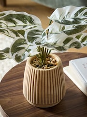 Green/White Artificial Variagated Plant In Striped Ceramic pot - Image 2 of 4