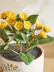 Yellow Artificial Flower In Ceramic Sentiment Pot - Image 2 of 4