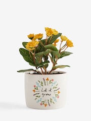Yellow Artificial Flower In Ceramic Sentiment Pot - Image 3 of 4