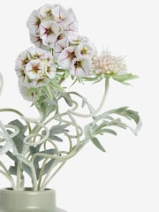 White/Pink Artificial Scabiosa Plant In Textured Ceramic Pot - Image 4 of 4