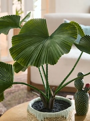 Green Artificial Palm Plant In Woven Basket - Image 2 of 4