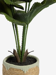 Green Artificial Palm Plant In Woven Basket - Image 3 of 4