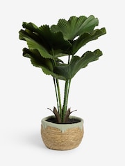 Green Artificial Palm Plant In Woven Basket - Image 4 of 4