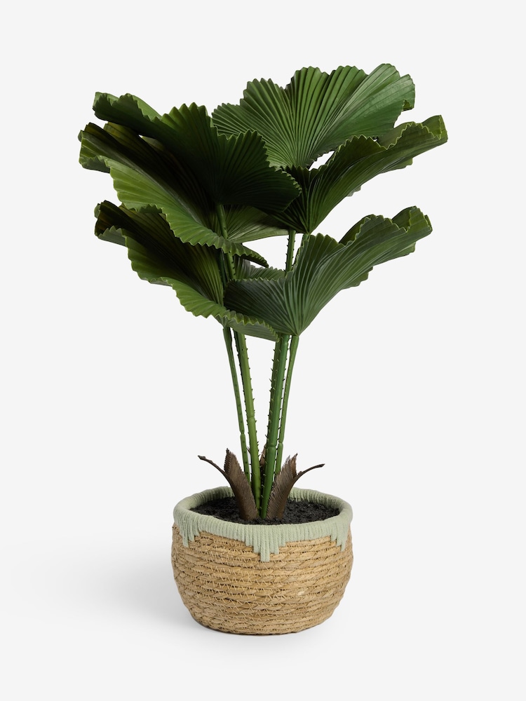 Green Artificial Palm Plant In Woven Basket - Image 4 of 4