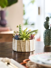Green Artificial Succulent Garden In A Ceramic Bowl - Image 1 of 4