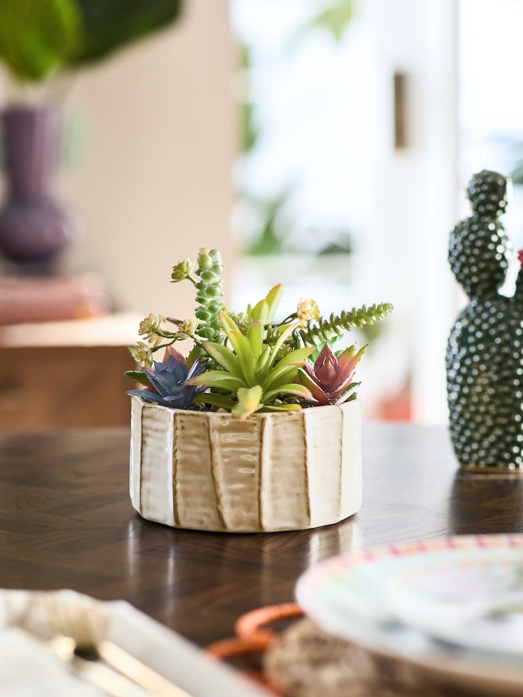 Green Artificial Succulent Garden In A Ceramic Bowl - Image 1 of 4