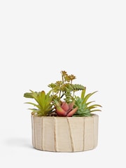 Green Artificial Succulent Garden In A Ceramic Bowl - Image 3 of 4