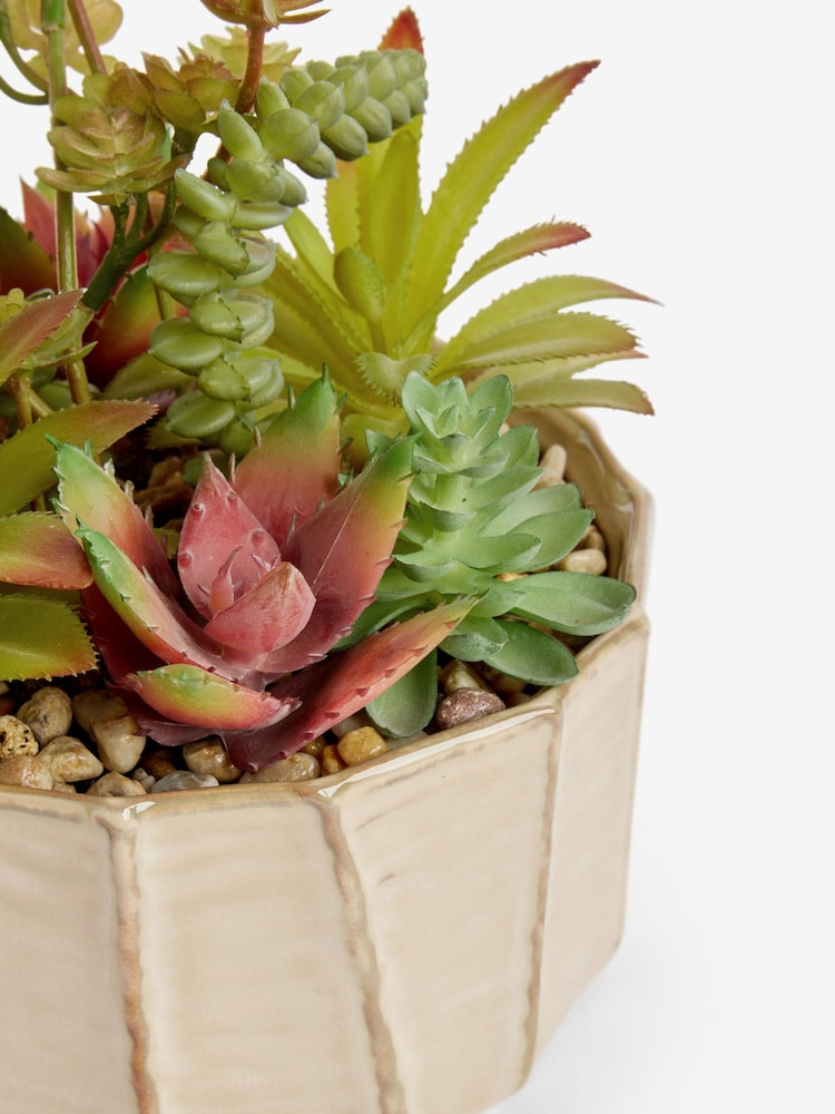 Green Artificial Succulent Garden In A Ceramic Bowl - Image 4 of 4
