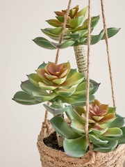 Green Artificial Succulents In A Hanging Woven Planter - Image 2 of 4