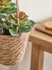 Green Artificial Succulents In A Hanging Woven Planter - Image 3 of 4