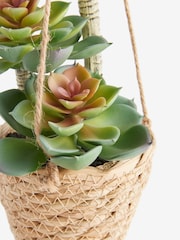 Green Artificial Succulents In A Hanging Woven Planter - Image 4 of 4