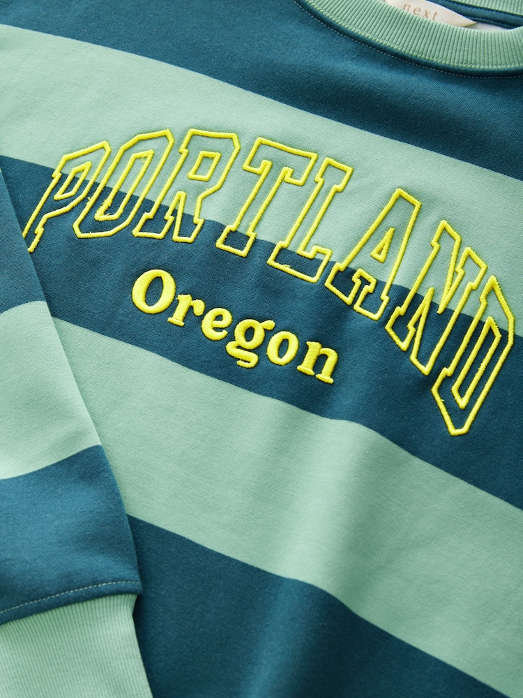 Green Relaxed Fit Heavyweight City Graphic Stripe Crew Neck Sweatshirt - Image 7 of 8