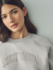 Français Gris - Sweat Raglan Fit Tonal City Graphic Col rond - Image 6 of 9