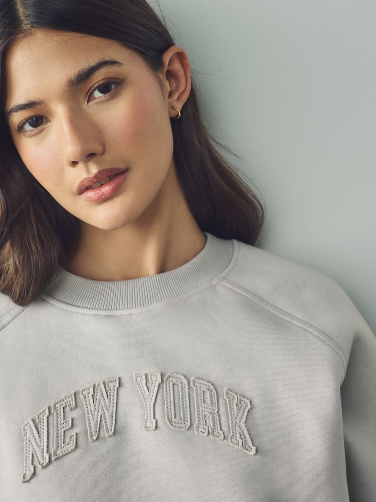 Français Gris - Sweat Raglan Fit Tonal City Graphic Col rond - Image 6 of 9
