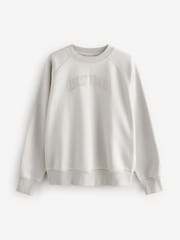 Français Gris - Sweat Raglan Fit Tonal City Graphic Col rond - Image 7 of 9