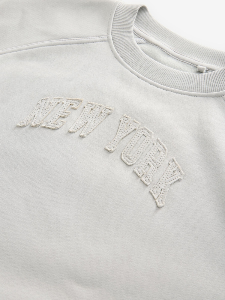Français Gris - Sweat Raglan Fit Tonal City Graphic Col rond - Image 9 of 9