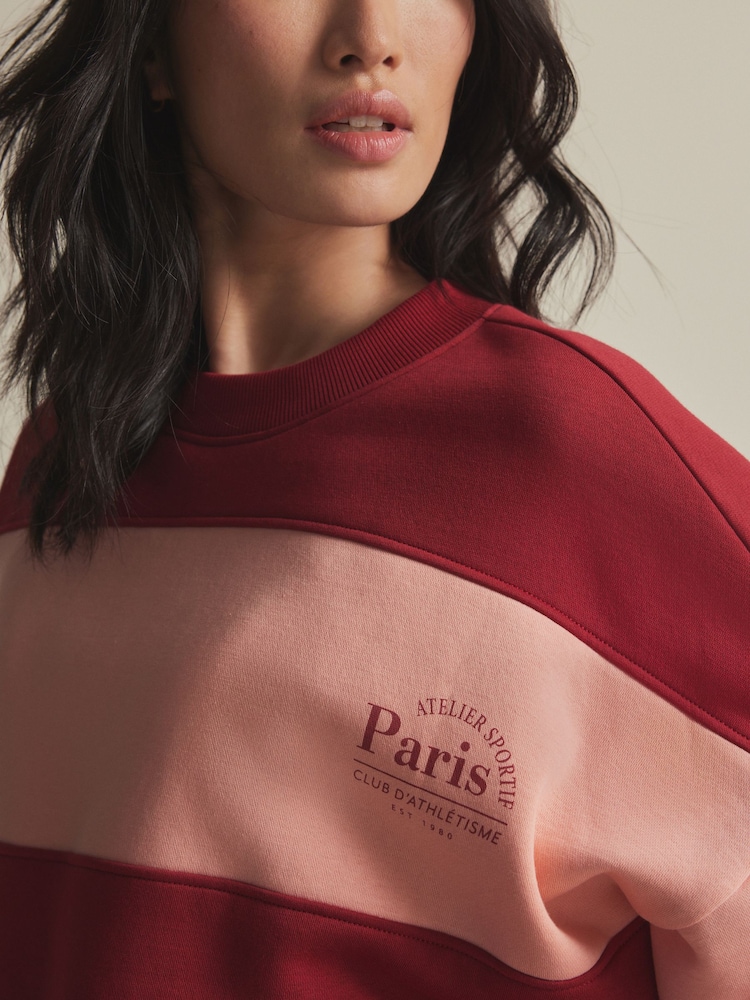 Burgundy Red/Pink Relaxed Fit Heavyweight Graphic Paris Slogan Stripe Sweatshirt - Image 5 of 8