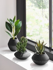 Set of 3 Green Artificial Succulents In Black Bronx Pots - Image 1 of 4