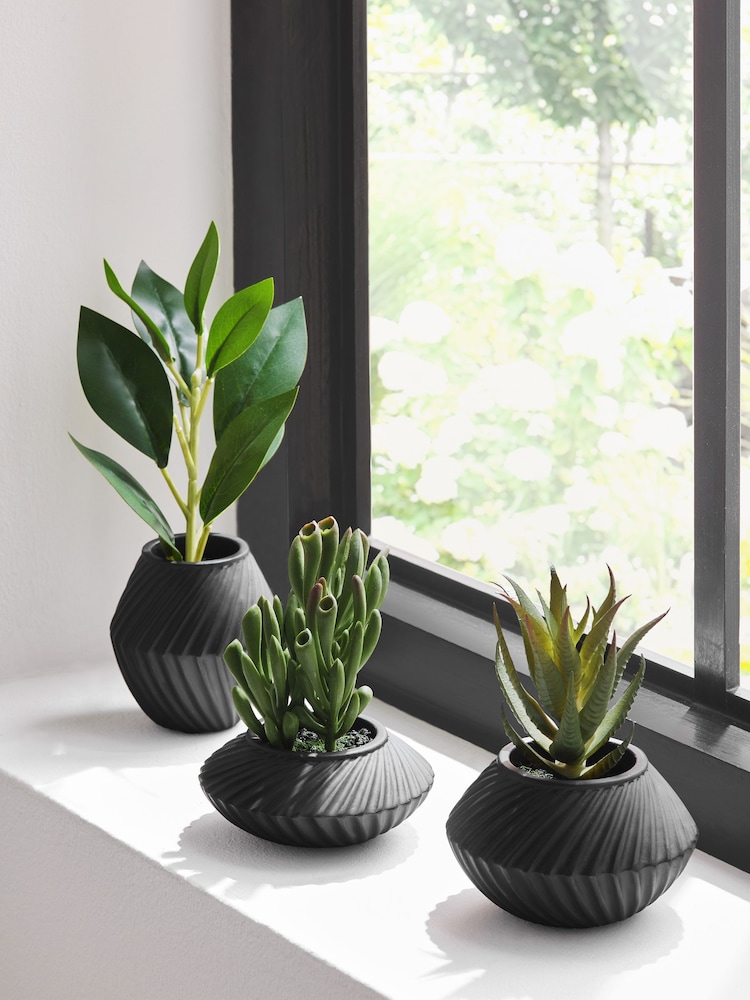 Set of 3 Green Artificial Succulents In Black Bronx Pots - Image 1 of 4