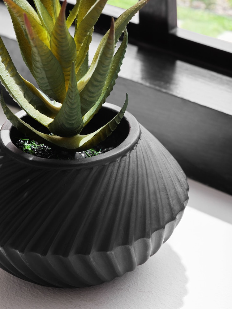 Set of 3 Green Artificial Succulents In Black Bronx Pots - Image 2 of 4