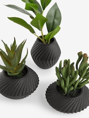Set of 3 Green Artificial Succulents In Black Bronx Pots - Image 4 of 4