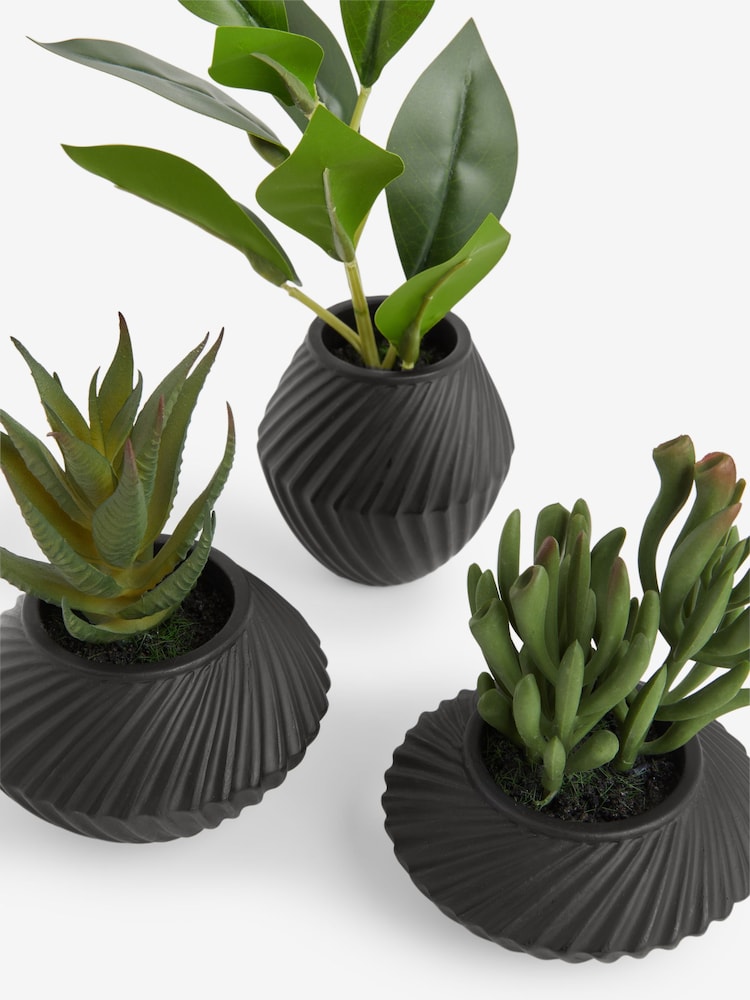 Set of 3 Artificial Succulents In Black Bronx Pots - Imagen 4 de 4 Set of 3 Artificial Succulents In Black Bronx Pots - Imagen 4 de 4