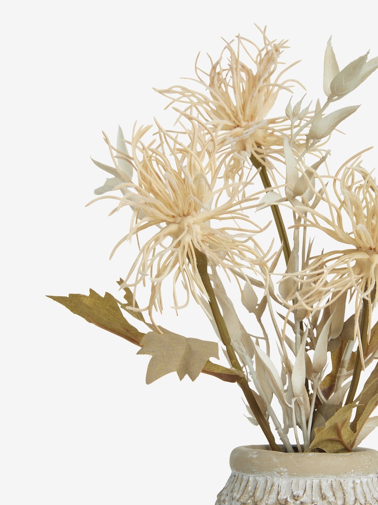 Natural Artificial Wild Thistle Arrangement in Textured Ceramic Pot - Image 6 of 6