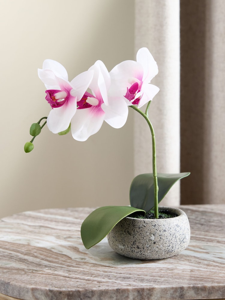 White/Pink Artificial Real Touch Mini Orchid In Stone Effect Pot - Image 1 of 1