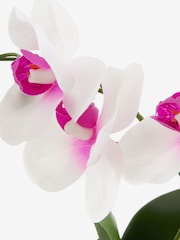 White/Pink Artificial Real Touch Mini Orchid In Stone Effect Pot - Image 2 of 3