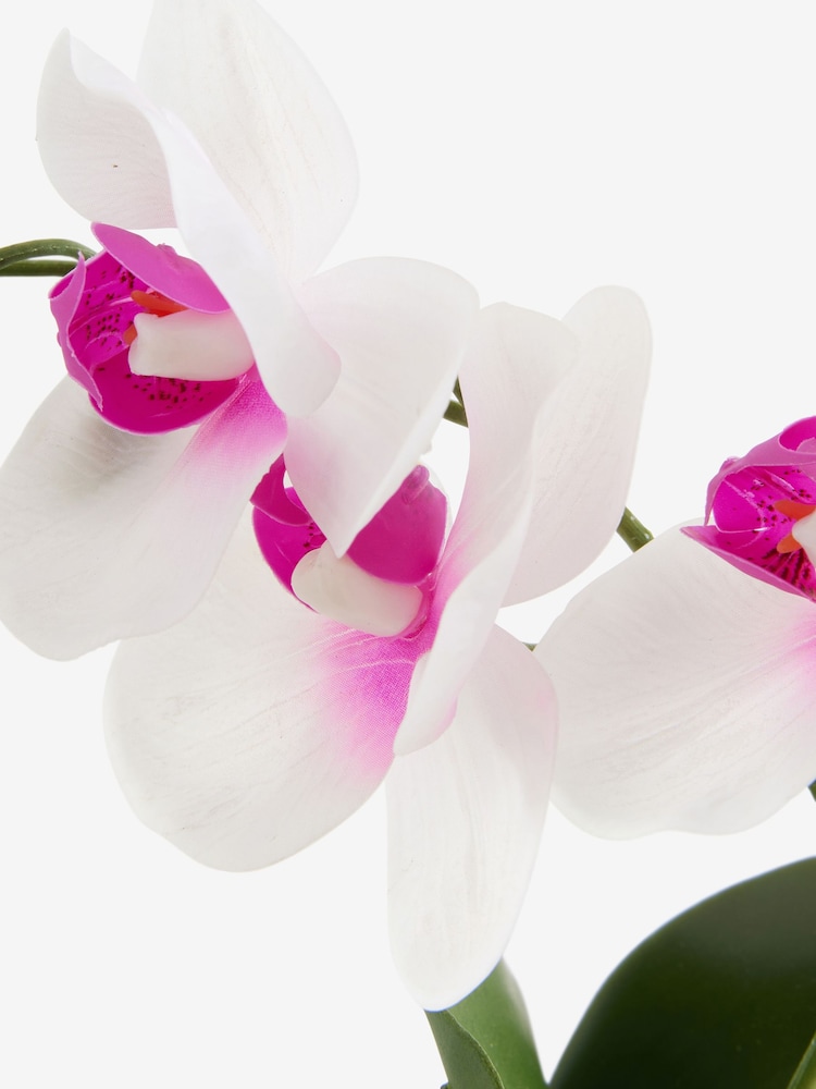 White/Pink Artificial Real Touch Mini Orchid In Stone Effect Pot - Image 2 of 3