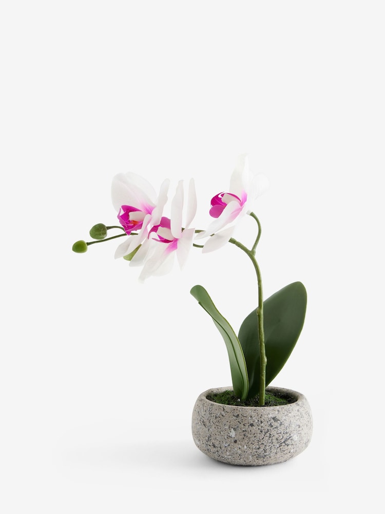 White/Pink Artificial Real Touch Mini Orchid In Stone Effect Pot - Image 3 of 3