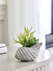 Green Artificial Succulent In A Grey Ceramic Shell - Image 1 of 3